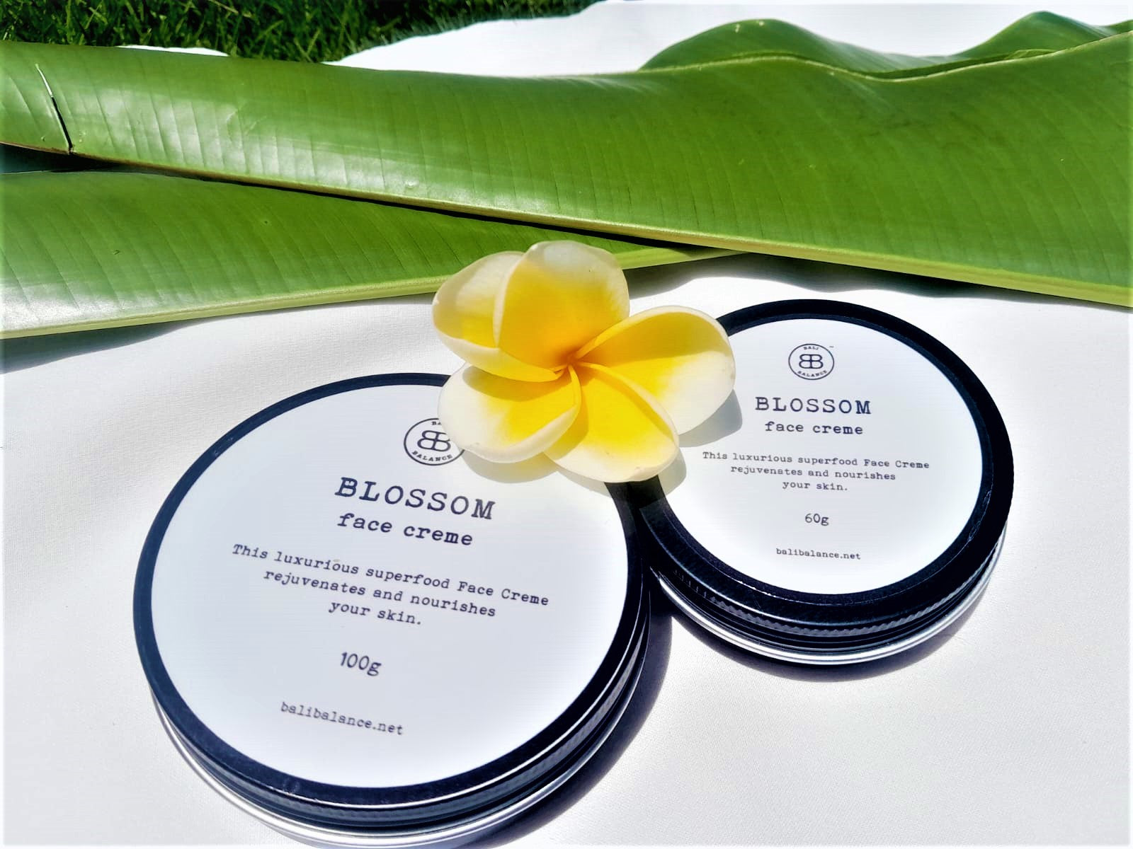BLOSSOM FACE CREME